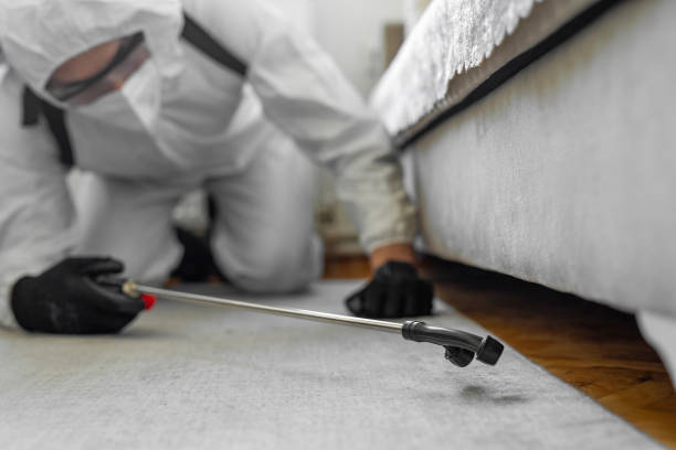 Professional Bed Bug Control technician working in Jacksonville Beach, FL