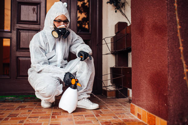 Reliable Bed Bug Control contractor in Jacksonville Beach, FL by Nex Pest Control