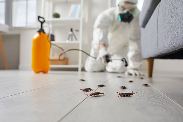 Trusted Emergency Pest Control service in Jacksonville Beach, FL - Nex Pest Control