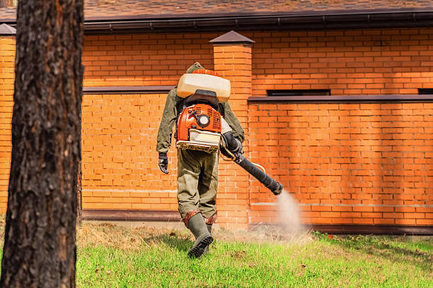 Trusted Bed Bug Control service in Jacksonville Beach, FL - Nex Pest Control